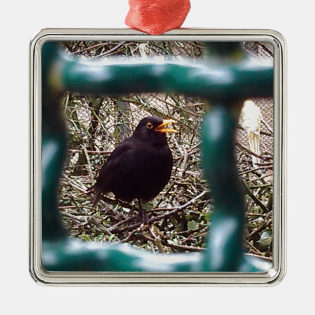 Blackbird behind bars, Animal, Birds, Black Bird Metal Tree Decoration (Front)