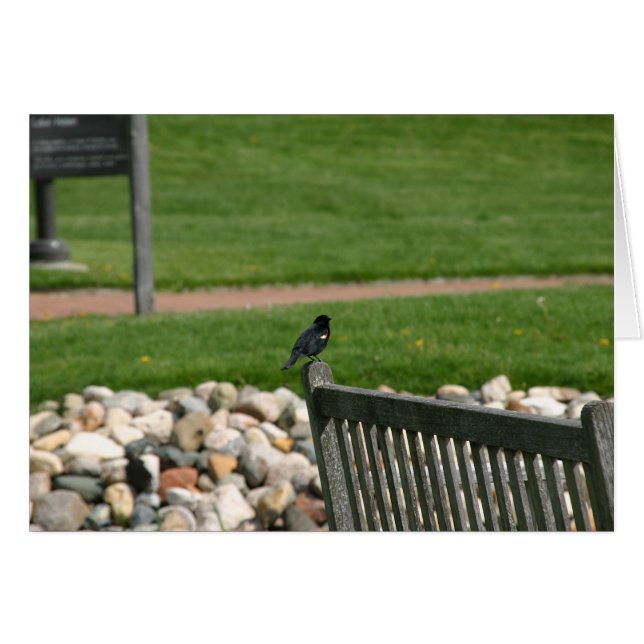 Blackbird Bench card (Front Horizontal)