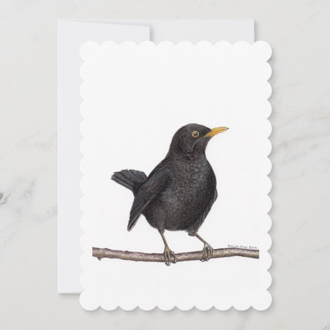 Blackbird Bird (Turdus Merula) Invitation (Front)