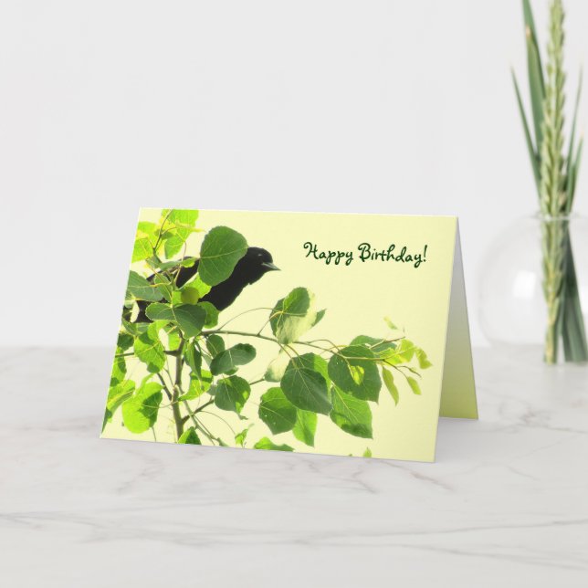 Blackbird Birthday Card (Front)
