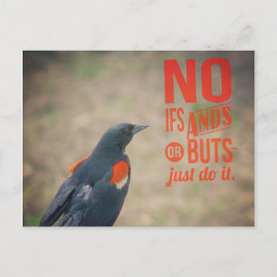 Blackbird Encouragement Postcard
