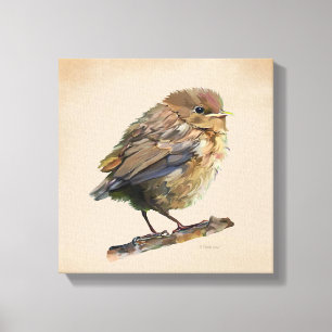 Blackbird Fledgling Canvas Print