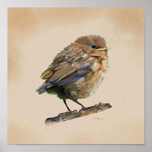 Blackbird Fledgling` Poster