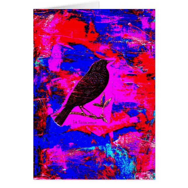 Blackbird Mixed Media Digital Art (Front)