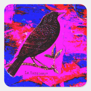 Blackbird Mixed Media Digital Art Square Sticker
