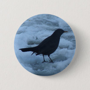 Blackbird on ice Button