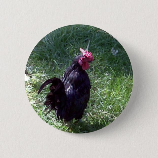 Blackbird the Black Rooster 6 Cm Round Badge (Front)