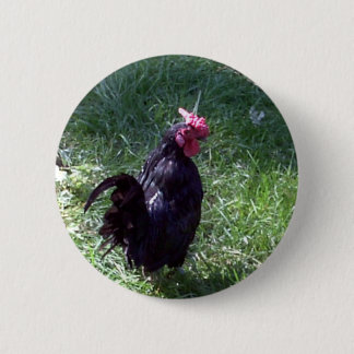 Blackbird the Black Rooster 6 Cm Round Badge