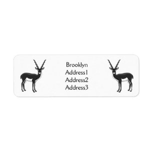 Blackbuck antelope illustration