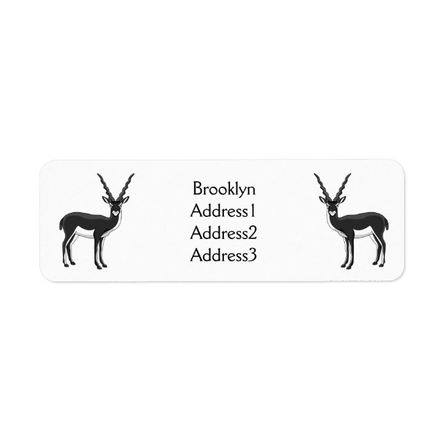 Blackbuck antelope illustration (Front)