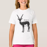 Blackbuck antelope illustration