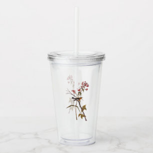 Blackburnian Warbler Vintage Audubon Songbird Art Acrylic Tumbler