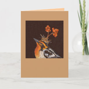 blackburnian warbler with pyracantha card
