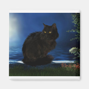 Blackcat Cat Black Domestic Animal Magnet