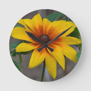 Blacke-eyed Susan Wall Clock