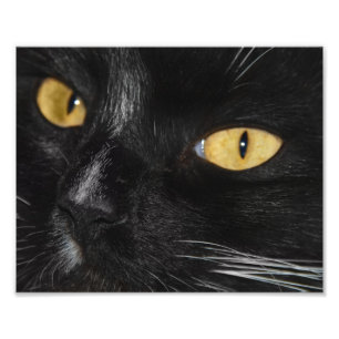 Blackest Black Photo Enlargement Print