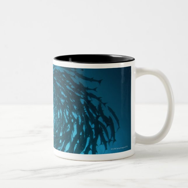 Blackfin barracuda swimming in circles Two-Tone coffee mug (Right)