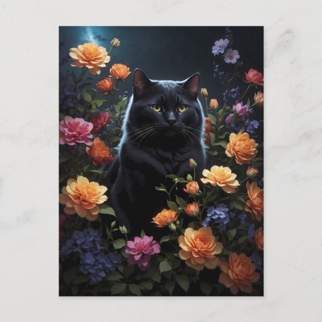 blacki cat in black night postcard (Front)