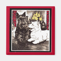 Blackie and Whitie by the fire