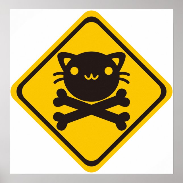 BlackJack(Cat) Poster (Front)