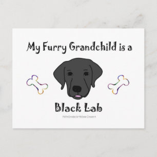 BLackLab Postcard