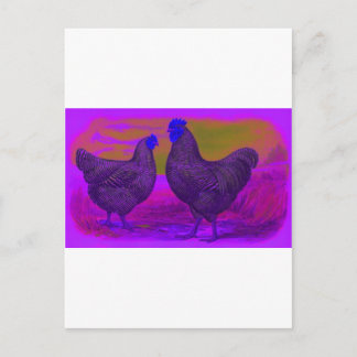 BlackLight Postcard
