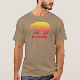 Blacksburg Virginia Rainbow Bear T-Shirt