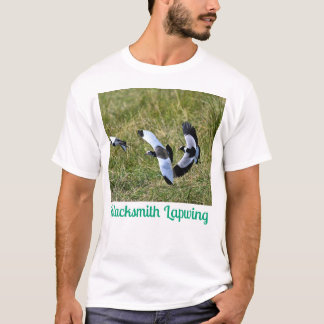 Blacksmith Lapwing – Quick Facts: T-Shirt