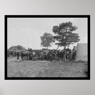 Blacksmith Shoeing Horses at Antietam 1862 Poster