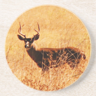 Blacktail Buck Coaster