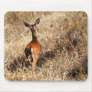 Blacktail Deer Mouse Pad