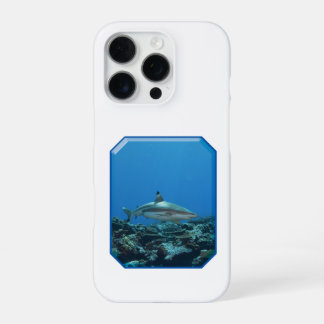 Blacktip Reefshark at coral reef of Yap Island |  iPhone 16 Pro Case