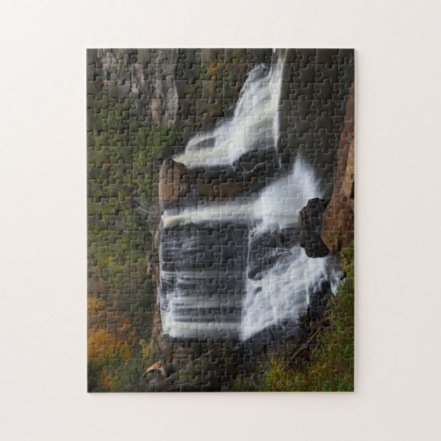 Blackwater Falls Jigsaw Puzzle (Vertical)