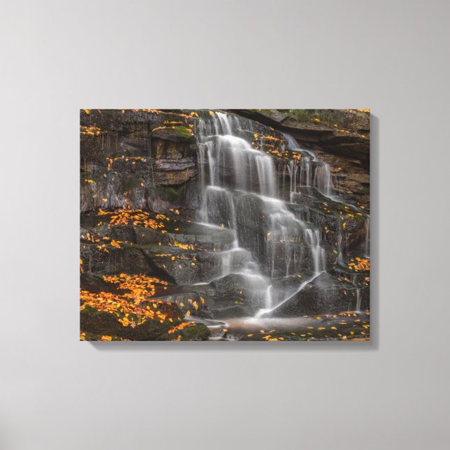 Blackwater Falls State Park Canvas Print (Front)
