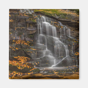 Blackwater Falls State Park Magnet