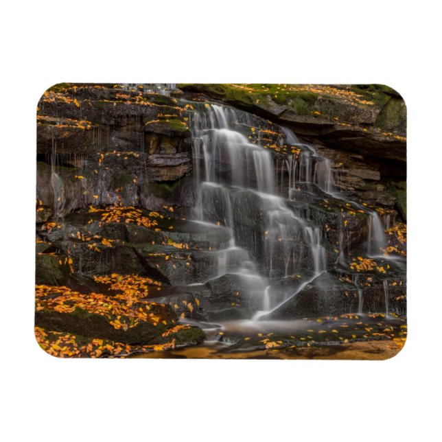 Blackwater Falls State Park Magnet (Horizontal)
