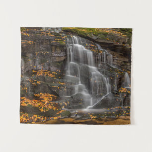 Blackwater Falls State Park Tapestry