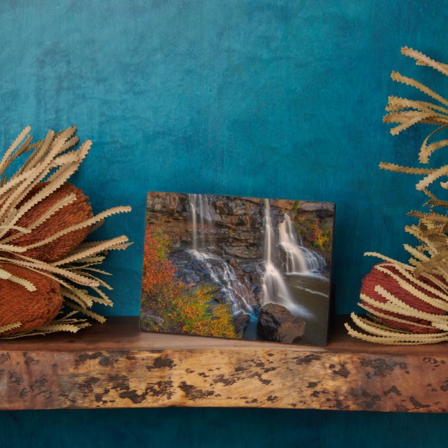 Blackwater Falls State Park | West Virginia Plaque (Side)