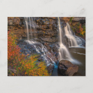 Blackwater Falls State Park West Virginia Postcard