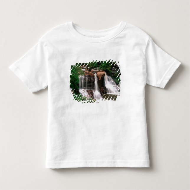 Blackwater Falls, West Virginia, scenic, Toddler T-Shirt (Front)