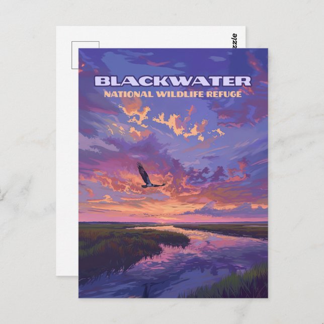 Blackwater National Wildlife Refuge Park Maryland  Postcard (Front/Back)