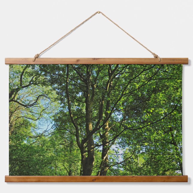 Blackweir Woods, Bute Park, Cardiff Wales Hanging Tapestry (Front)