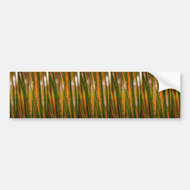 Blades of grass bumper sticker (Front)