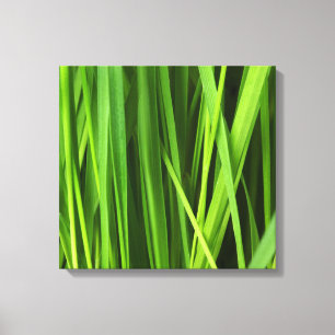 Blades of Grass Canvas Print