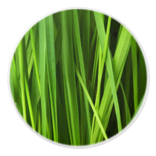Blades of Grass Ceramic Knob