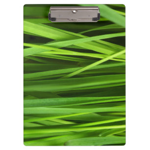 Blades of Grass Clipboard