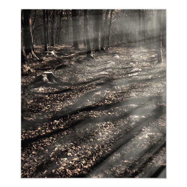 Blair Witch....over there! Photo Print (Front)