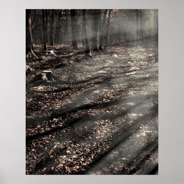 Blair Witch....over there! Poster (Front)