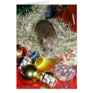 Blaize and the Baubles