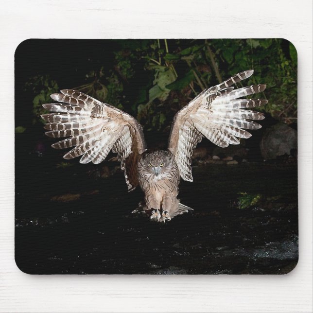 Blakiston's fish owl mouse pad (Front)